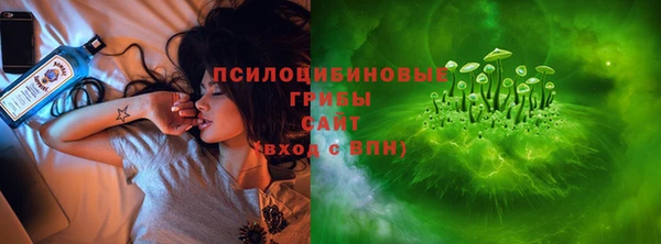 прущий лед Алзамай
