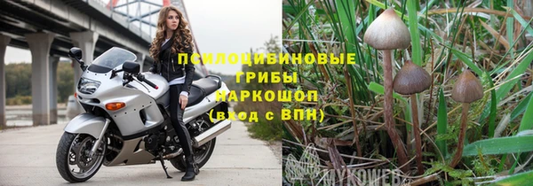 прущий лед Алзамай