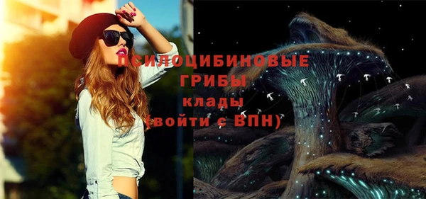 МДПВ Аркадак